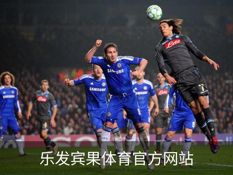 乐发宾果体育官方网站简介